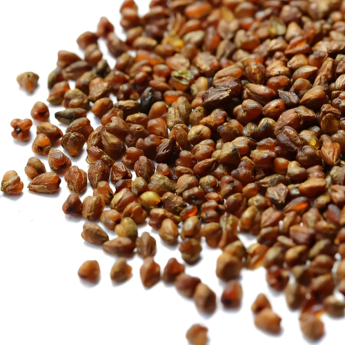 Гречишный чай Ку Цяо