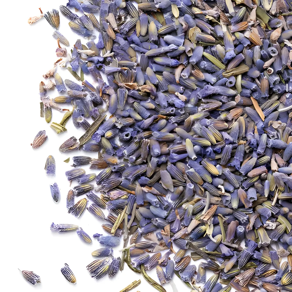 Лаванда Цветки