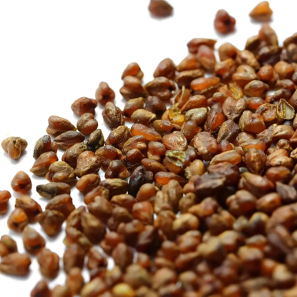 Гречишный чай Ку Цяо