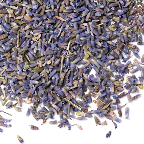 Лаванда Цветки