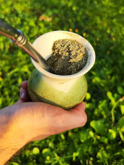 Kraus Organica - вкус, мате