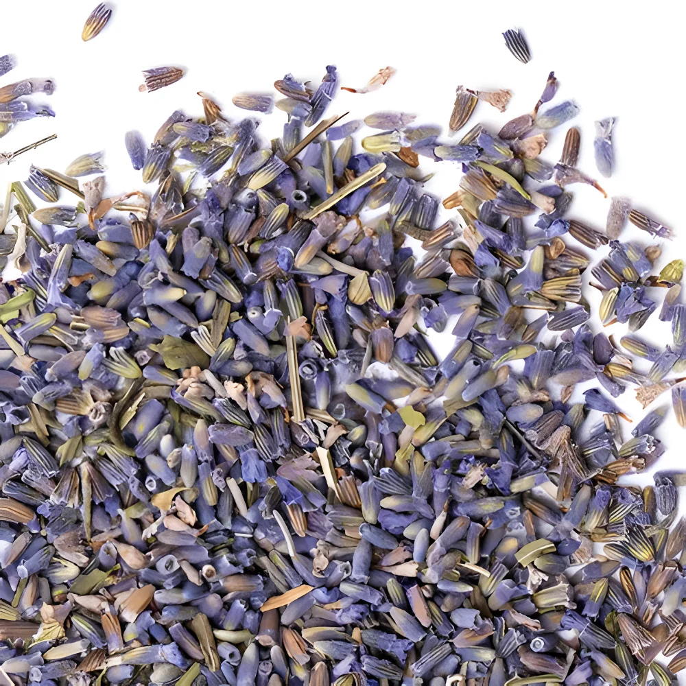 Лаванда Цветки